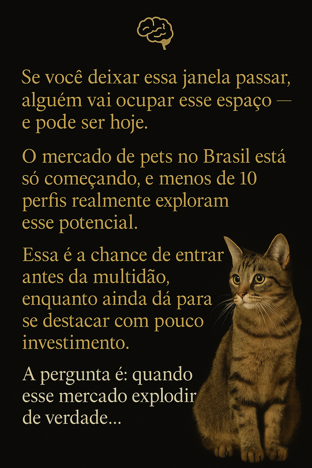 Curso Pet Inluencer